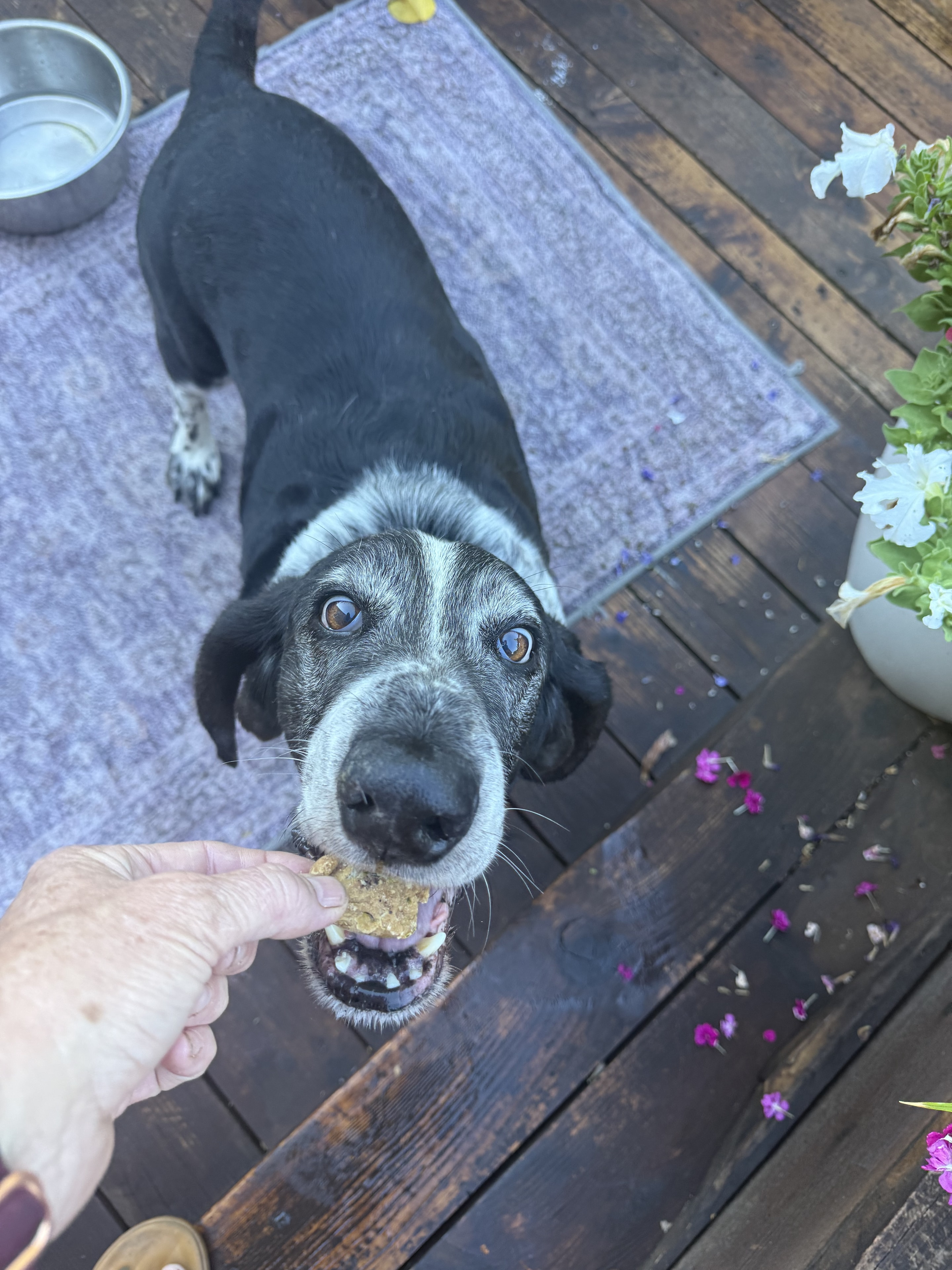 Charlie taste testing the goods