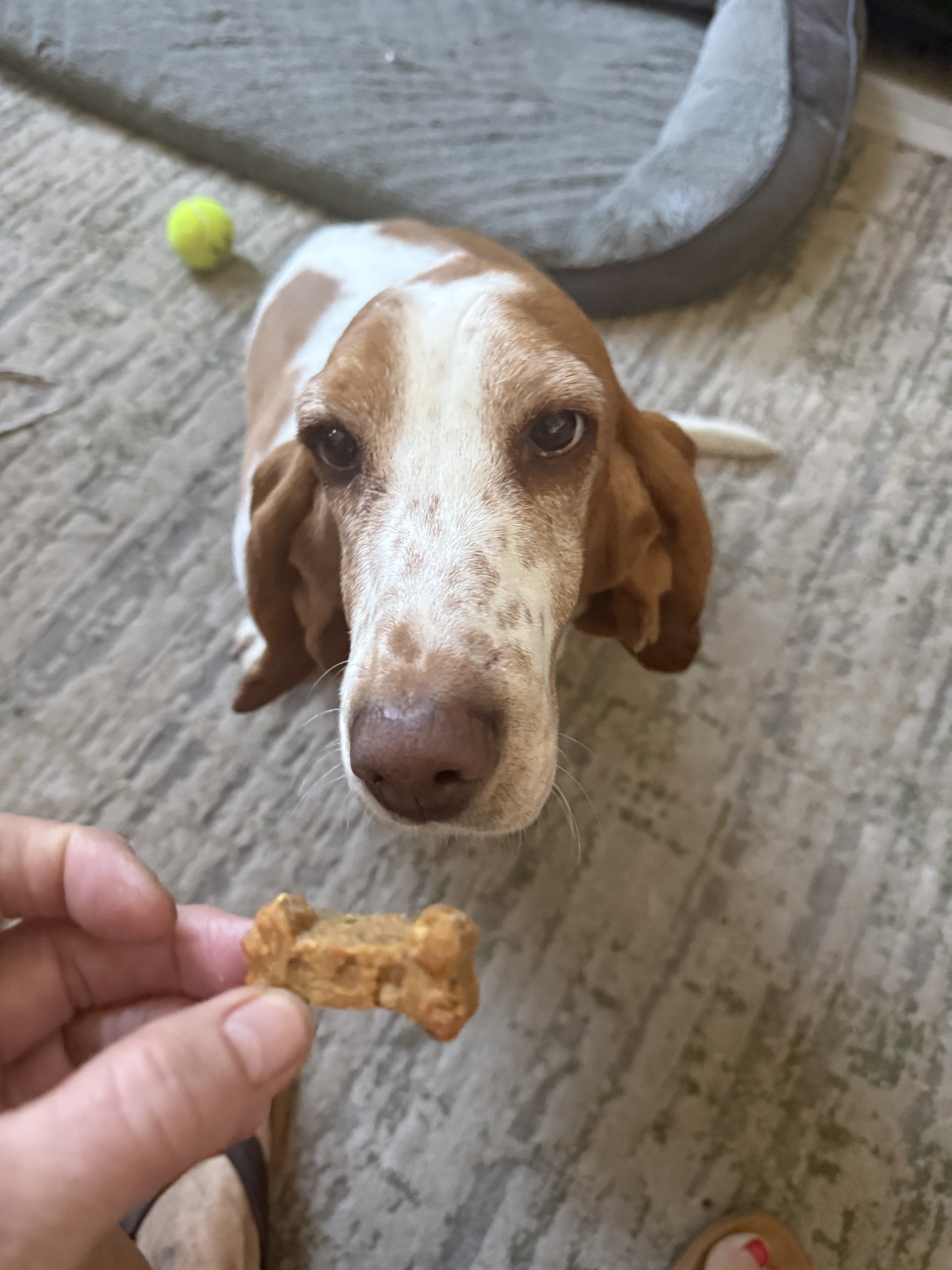 Charlie approves